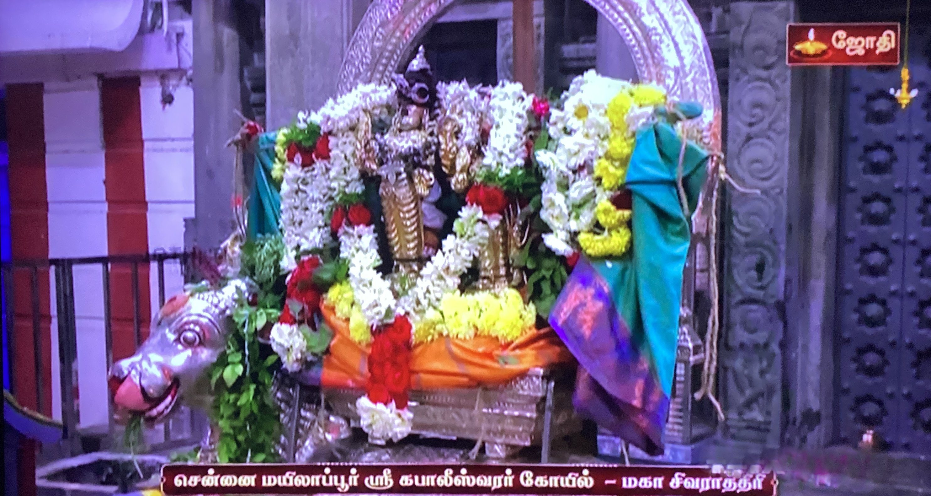 Maha Sivaratri - Chennai Mylapore Kapaleeswarar Koil