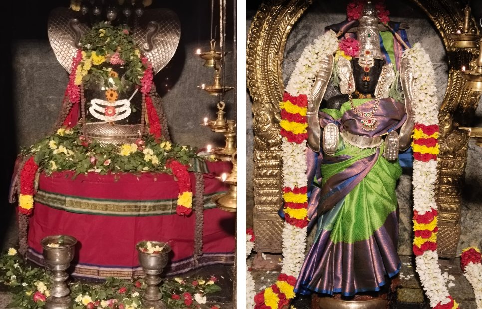 Maha Sivaratri - Chennai Mylapore Malleeswarar Koil