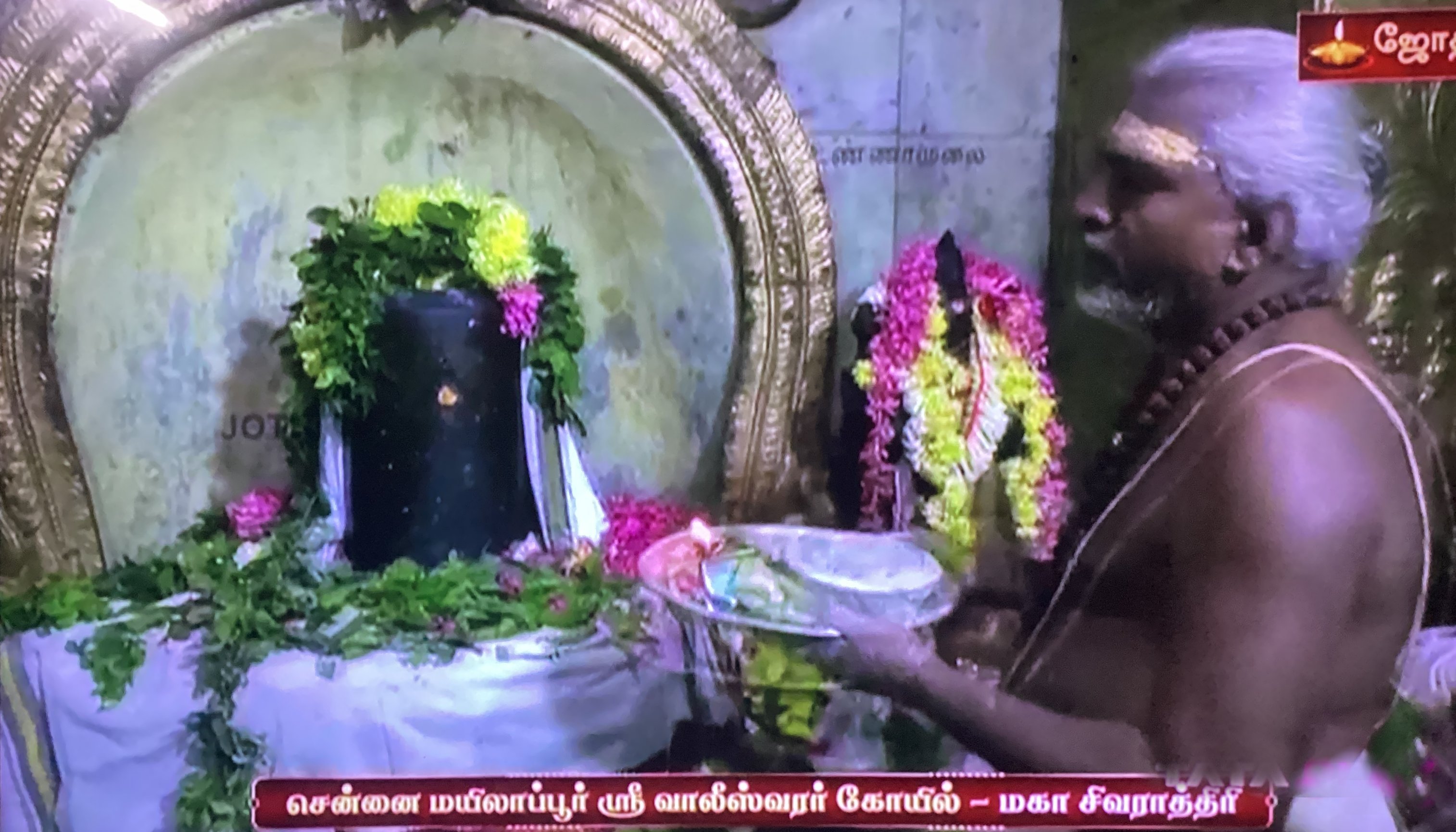 Maha Sivaratri - Chennai Mylapore Vaaleeswarar Koil